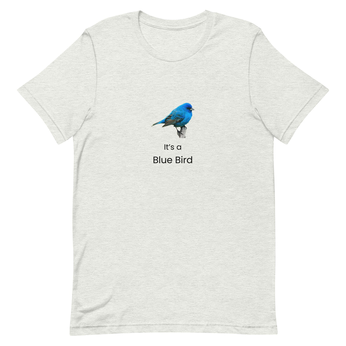 'It's a Blue Bird' Graphic Shirt - Blue Bird Ski Culture Tee