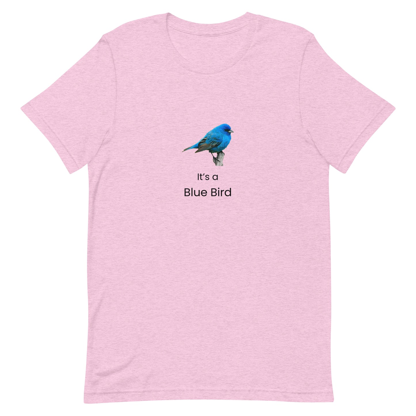 'It's a Blue Bird' Graphic Shirt - Blue Bird Ski Culture Tee