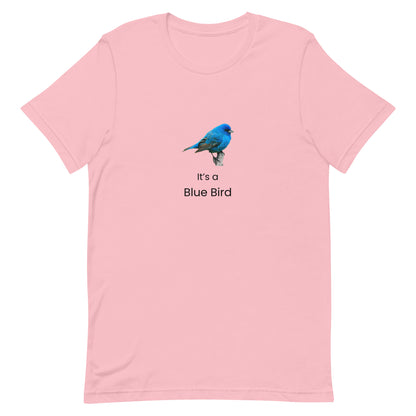 'It's a Blue Bird' Graphic Shirt - Blue Bird Ski Culture Tee