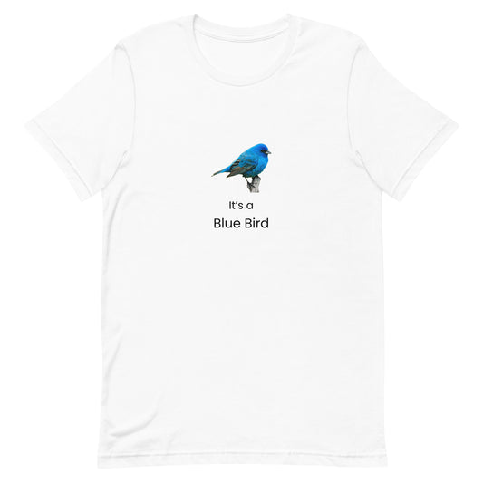'It's a Blue Bird' Graphic Shirt - Blue Bird Ski Culture Tee